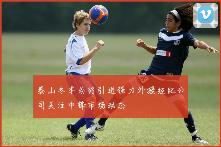 泰山冬季或将引进强力外援经纪公司关注中锋市场动态