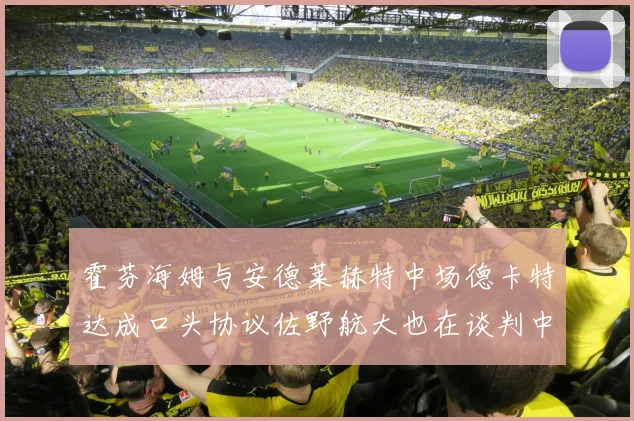 霍芬海姆与安德莱赫特中场德卡特达成口头协议佐野航大也在谈判中