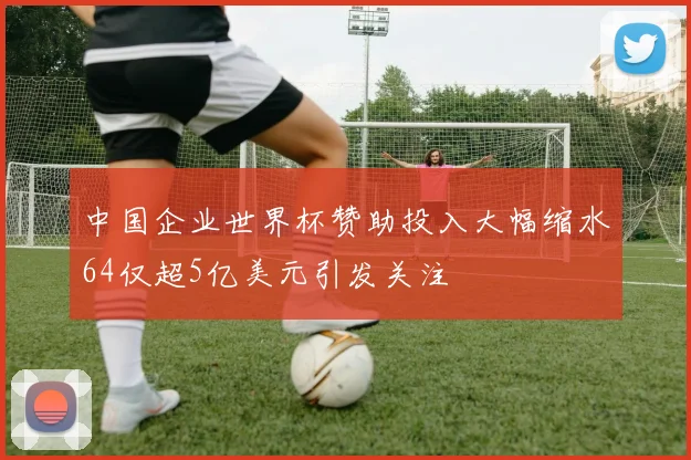 中国企业世界杯赞助投入大幅缩水64仅超5亿美元引发关注