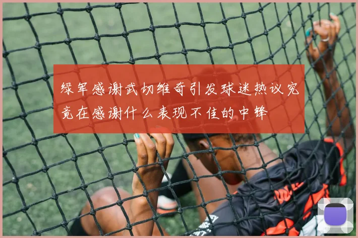 绿军感谢武切维奇引发球迷热议究竟在感谢什么表现不佳的中锋