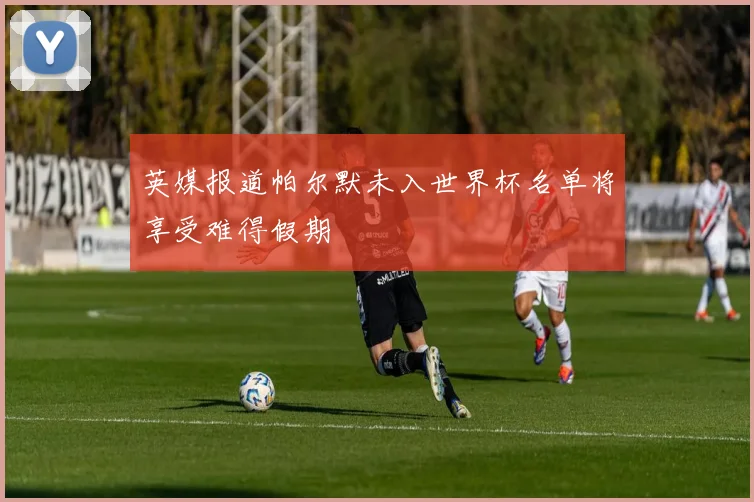 英媒报道帕尔默未入世界杯名单将享受难得假期